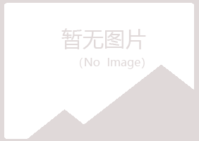 铁岭县山柏制造有限公司